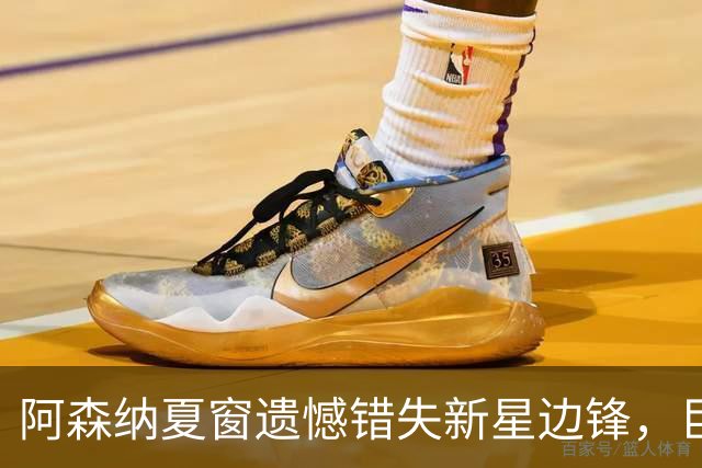 阿森纳夏窗遗憾错失新星边锋，巨额投资终成泡影